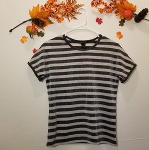 🍃 The Limited Shimmery Striped Top